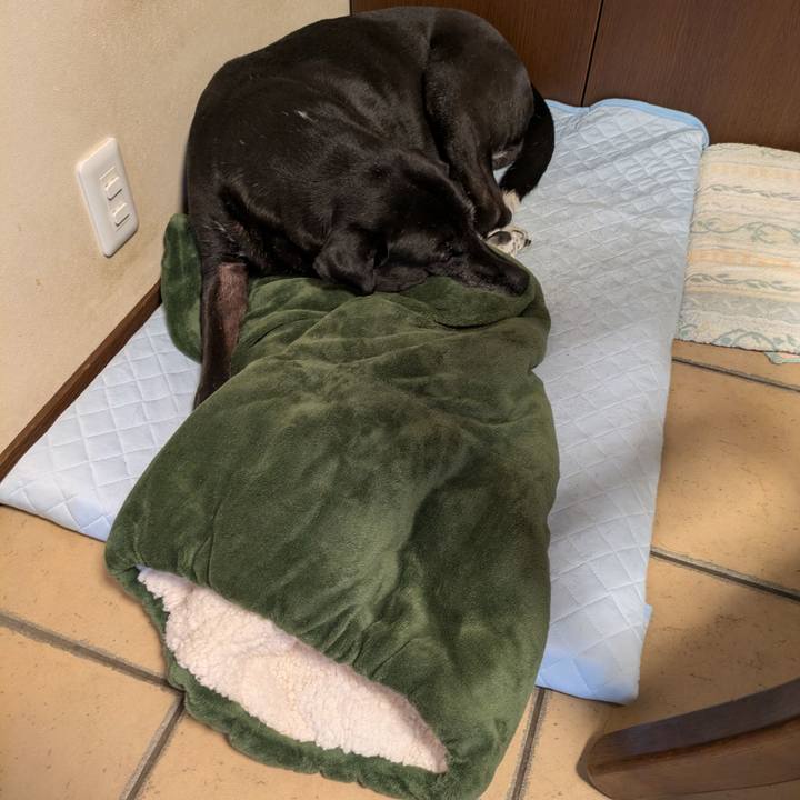 8f318930 2c4b 4776 8fcb dd3ed0518aec 1752796196982