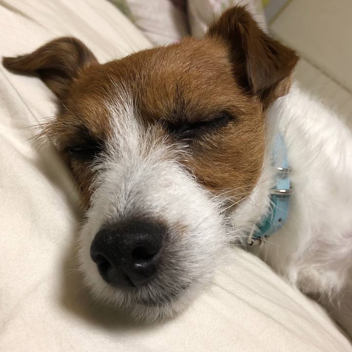 8f31adf2 d5af 4171 8b18 82442b86245b 1521385477845