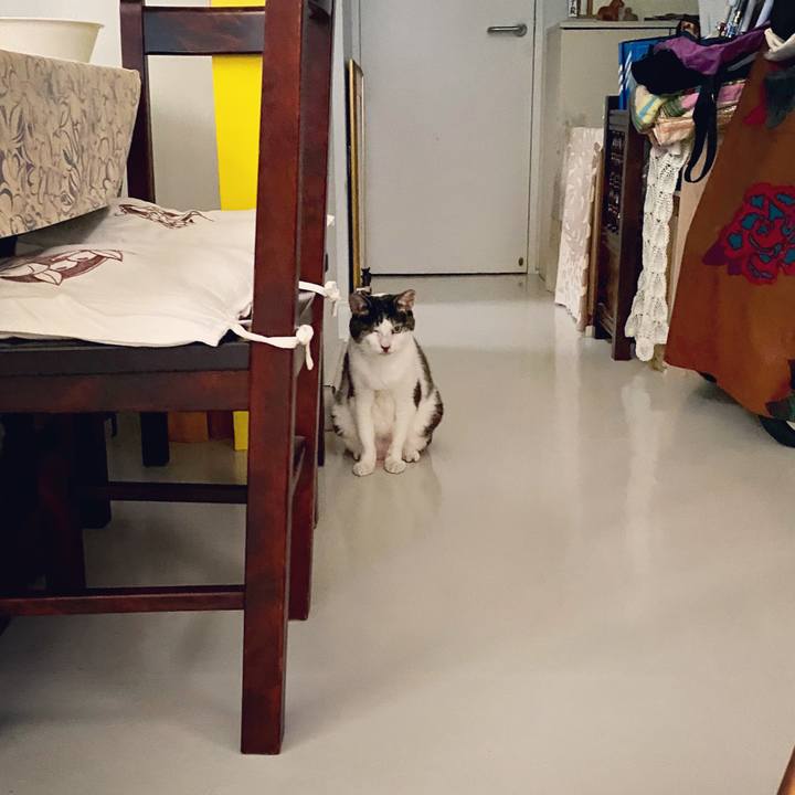 8f31c67e 5f46 4f94 b34b 8ff4c5c75637 1595754237330