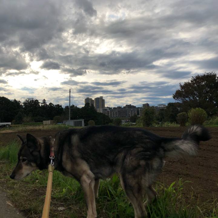 8f31f999 3e30 49d7 8010 3ba3f01ecf84 1539325909635