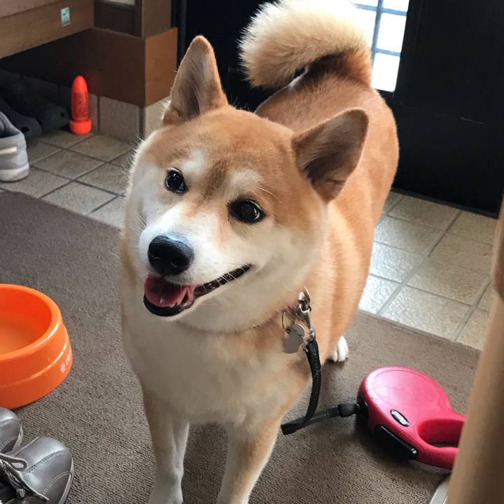 8f31fd1d 9ee8 41aa 99d4 4e9fa5380329 1564711904138