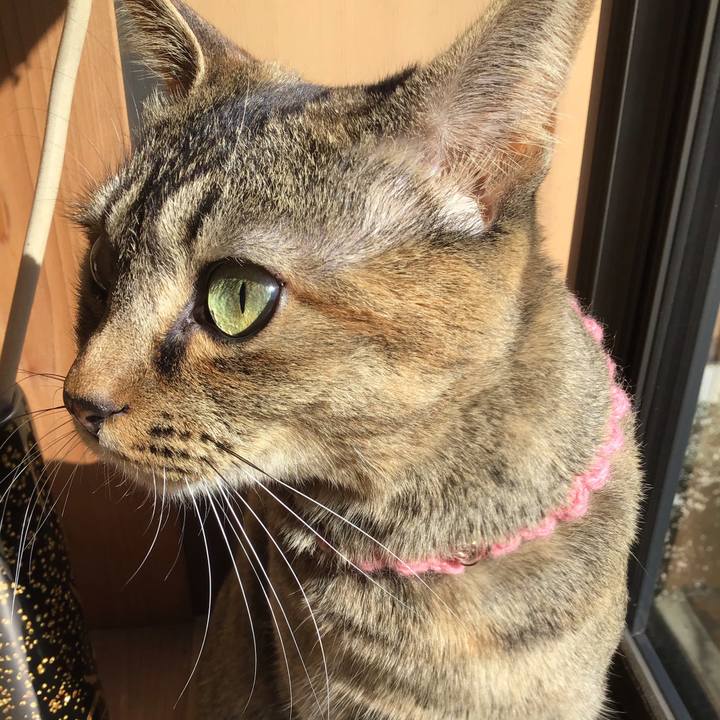 8f32329f 6175 4ebe 8ccc 37ba3f46c1bc 1614734151528