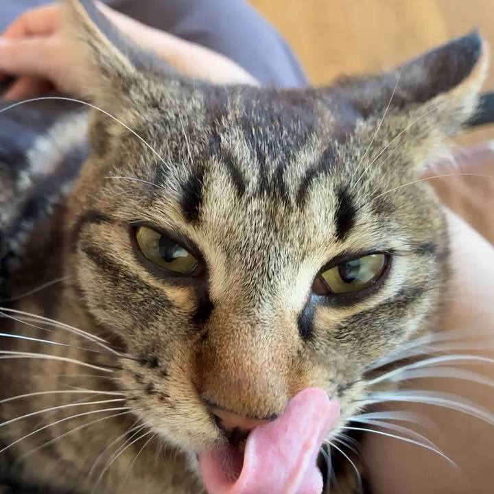 8f325807 ae95 4b49 ac34 39aa2cb8430a 1751677723726