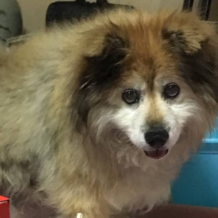 8f32756a 6635 42cc 958c 1617e9a10c20 1620021701356