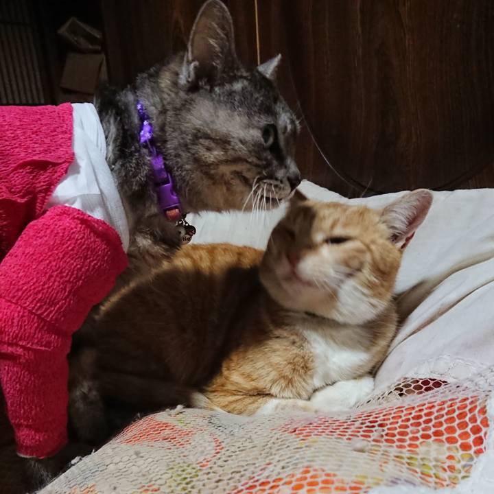 8f32ba4a 47a7 425f 8941 2fdc94660a3d 1586606738647