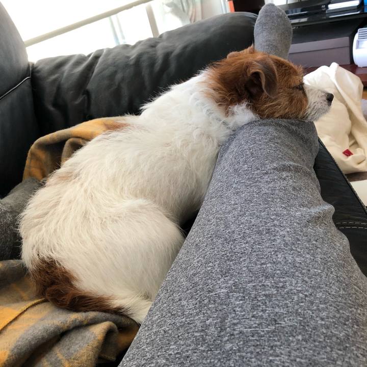 8f32c9bd 01a3 479c a3d7 dd3b04c59709 1573364277444