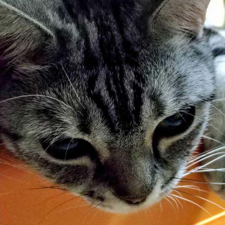 8f32d0e7 caf8 41a7 be7a 12098060e683 1664024661587