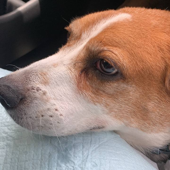 8f32f19f de0a 45eb b6ae 3c3e7bb6d942 1752540344591