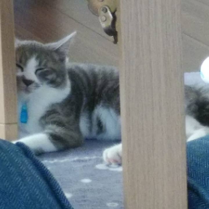 8f331a3a 79fe 4352 9b7b ec7fe44e76df 1567743450136