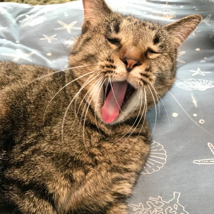 8f33207d aa1d 4664 8f56 47805a7fd12e 1590392694909