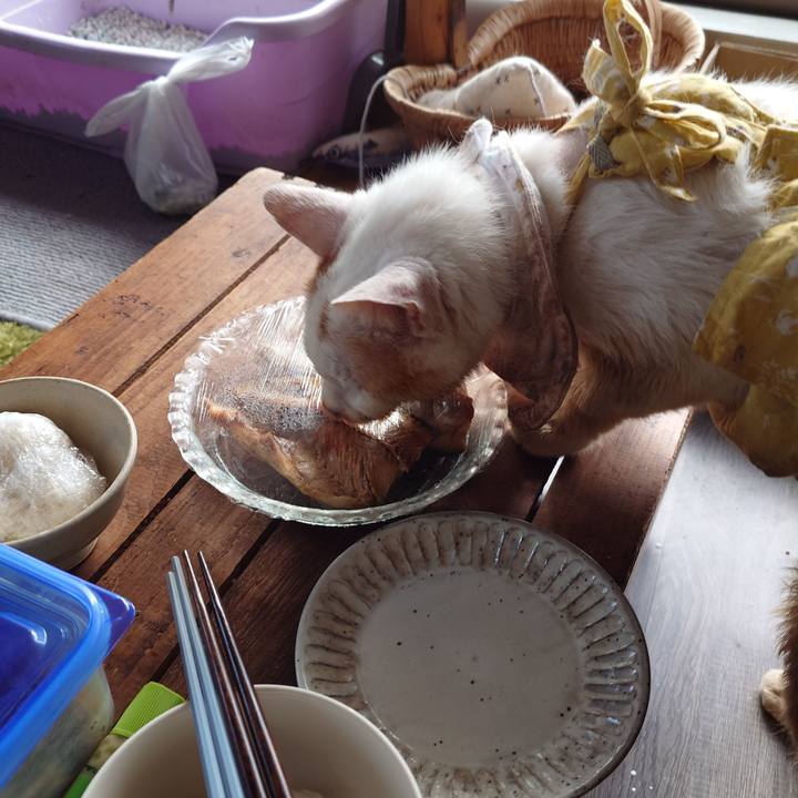 8f3321f6 c65c 4148 806e 8dfaf9fb4896 1764668275757