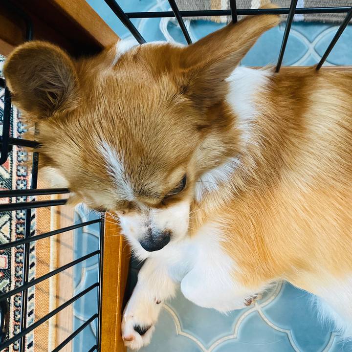 8f3329f2 4932 4dd5 aa20 bfceafd7821e 1593315052924