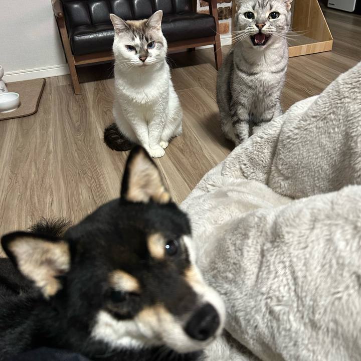 8f336300 91fa 438c a77e 2fadba8f1c94 1704070253935