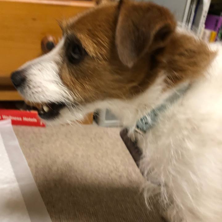 8f338714 d812 410f b296 cc99af1df30f 1551608204880