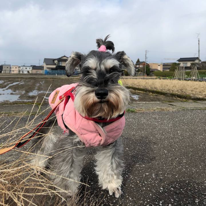 8f33947a f918 4015 9ce0 f902fd96d8df 1577512055352