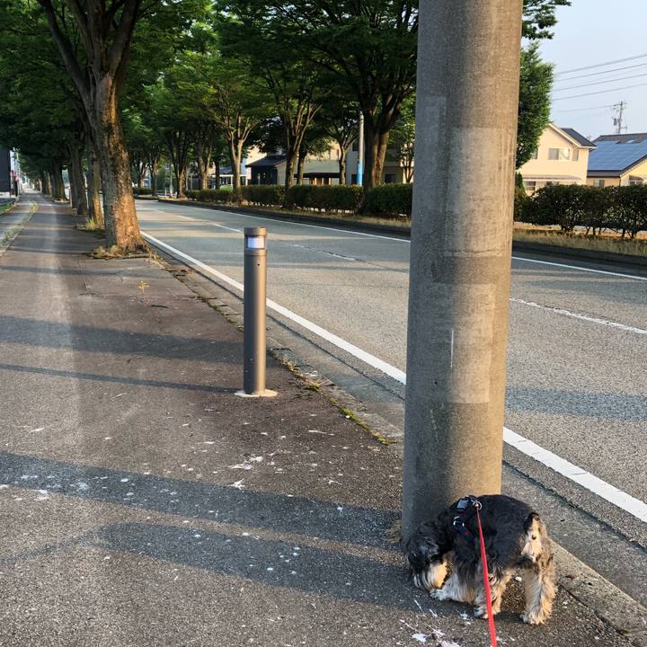 8f339d06 bd11 4053 bead 0e21e57155a4 1623273952939