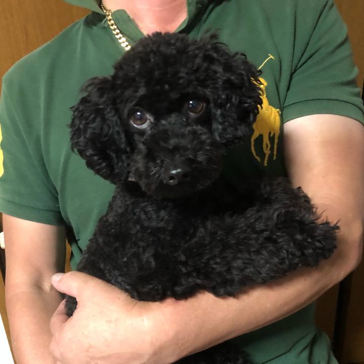 8f3406cd 7472 418f a989 71d2e8086099 1539472726662