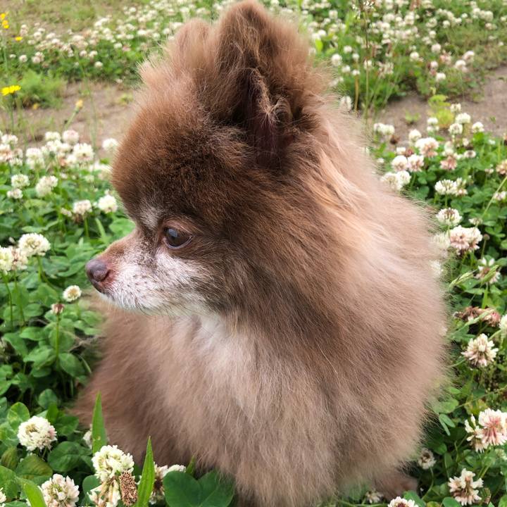 8f3432a7 862f 43a7 9f21 98453622d4a5 1624502857868