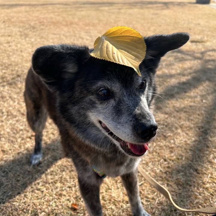 8f344401 8811 40a8 9001 4eae412c37dc 1770350415332