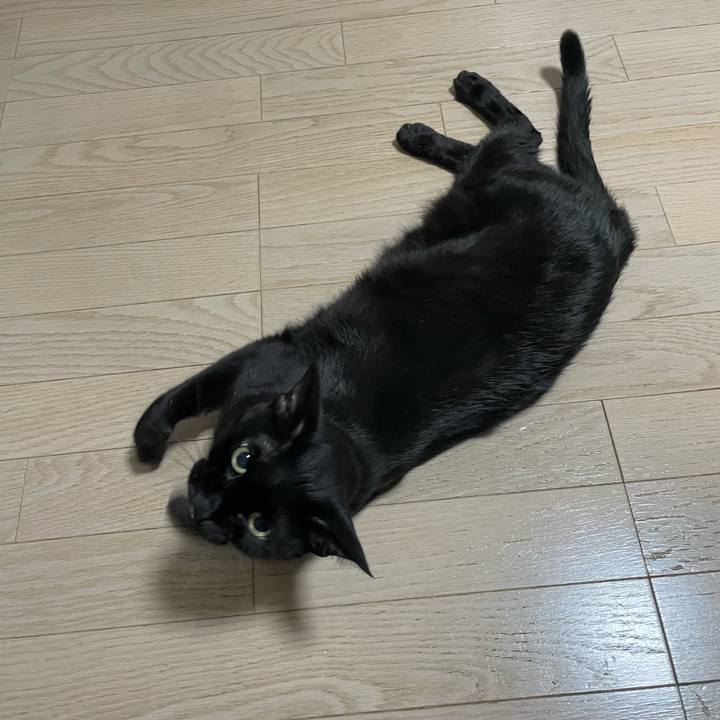 8f3449e7 b061 46ad acda 5bc221cae011 1754389547301