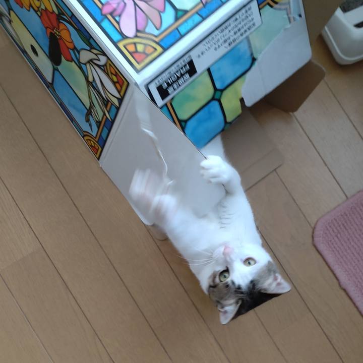 8f345615 e5ae 4e4b a900 1bc1be62f22d 1653193451000