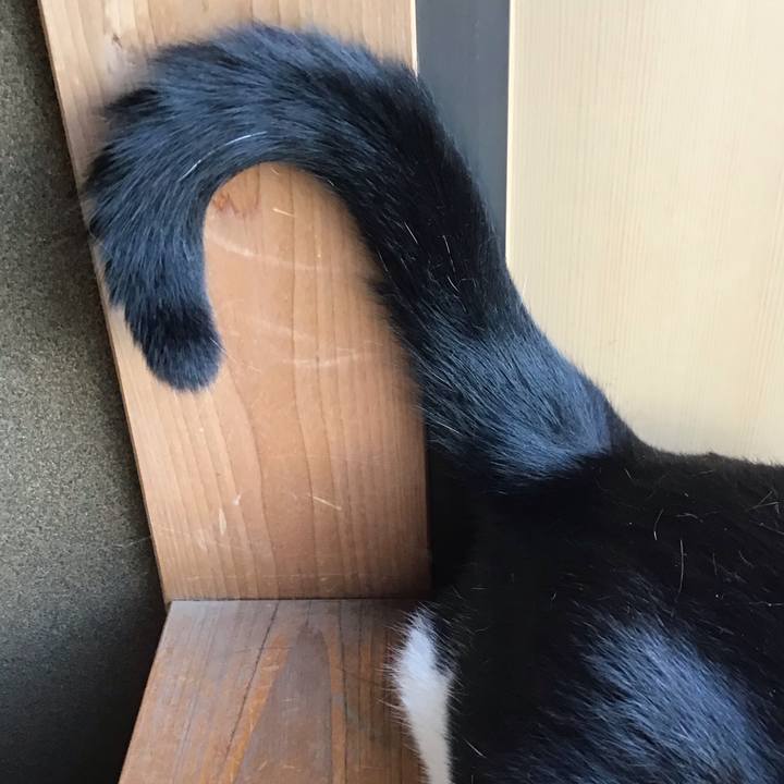 8f345969 810b 417c bba6 822a2473dbe9 1725260504168