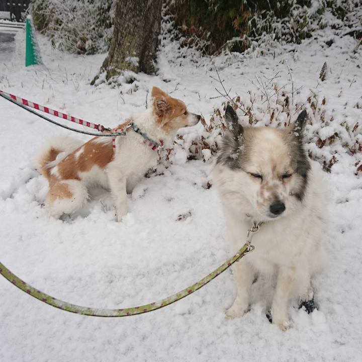 8f347db2 ad2b 4e19 9789 7e29d22b907c 1517142573621