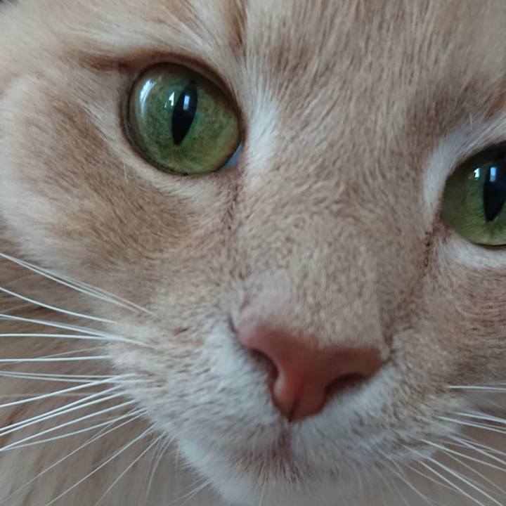 8f34af6a da22 4eaa 9898 b5a7f7919259 1556981529895