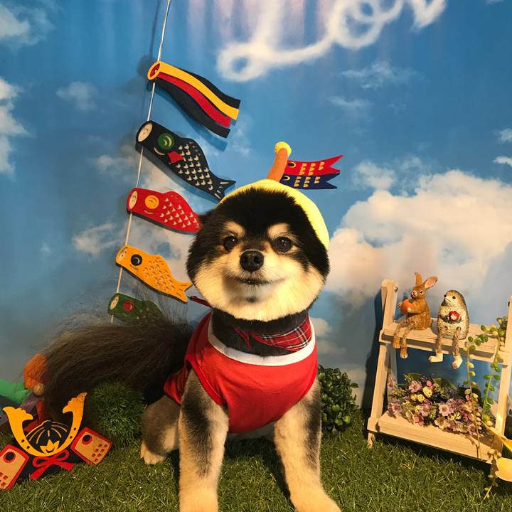 8f34ba81 9c50 4319 abbb 8f9b6f5b632e 1525394911788