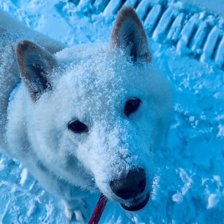 8f34c58c 3da6 4c34 bab8 e4e20951a3e8 1641817437598