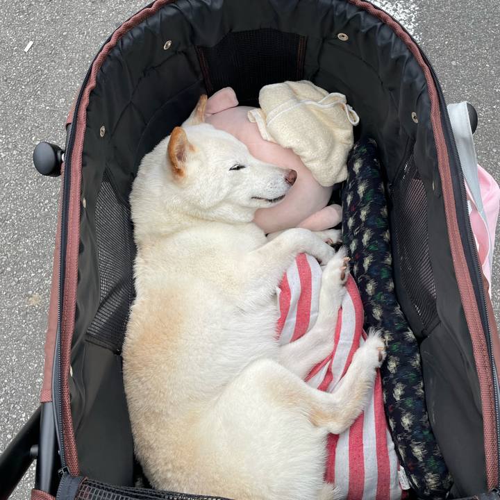 8f34d754 c41b 4d6f b642 e0ad564e8fd6 1652705193627