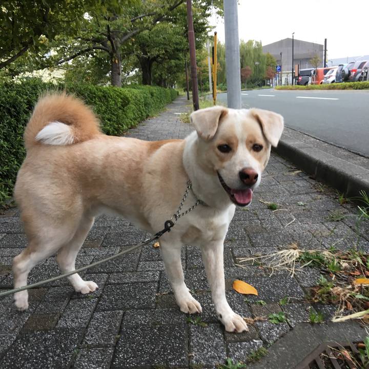 8f34f154 a8d9 479c 8b13 f331007d8867 1507982592705