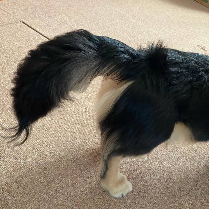 8f35417e c4ea 42af acd6 fbe70ba7a57b 1682984252566