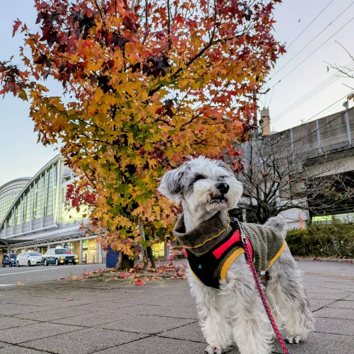 8f354911 3a61 4ce9 962e 81a0d2761008 1763729035151