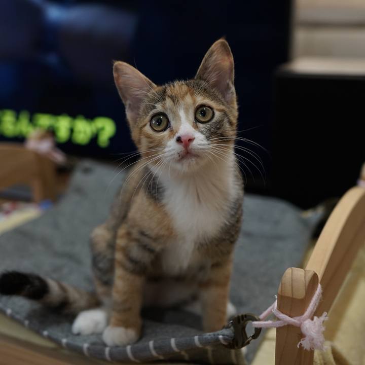 8f3574ab 03f9 48d0 a4b8 171cee637390 1570664641900