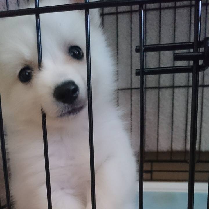 8f35dd60 cd1e 4efc 9434 3d0a78933eba 1573454906888