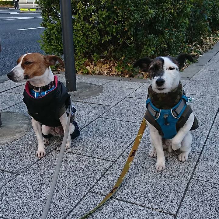 8f35ddab 3238 445c 8a02 d7b82287ce59 1546729066893