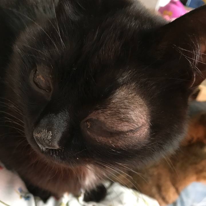 8f35e59d 3130 41b3 af70 a0208f76054b 1521878542814