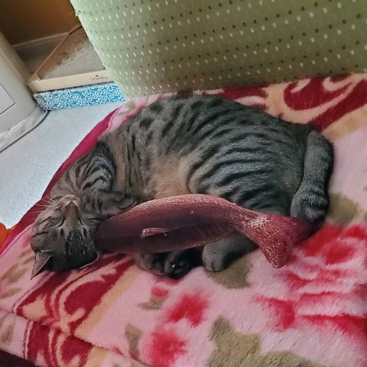 8f3601c0 5aa7 4b57 8b32 956240cc6dfd 1716952228698