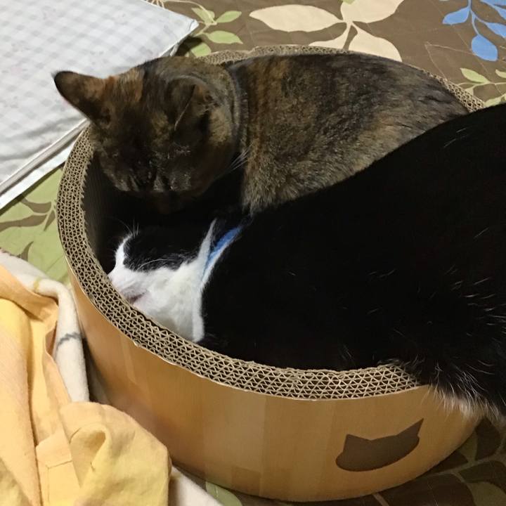 8f362ab0 58b0 4129 a7e6 e17aa2de7082 1762255112031