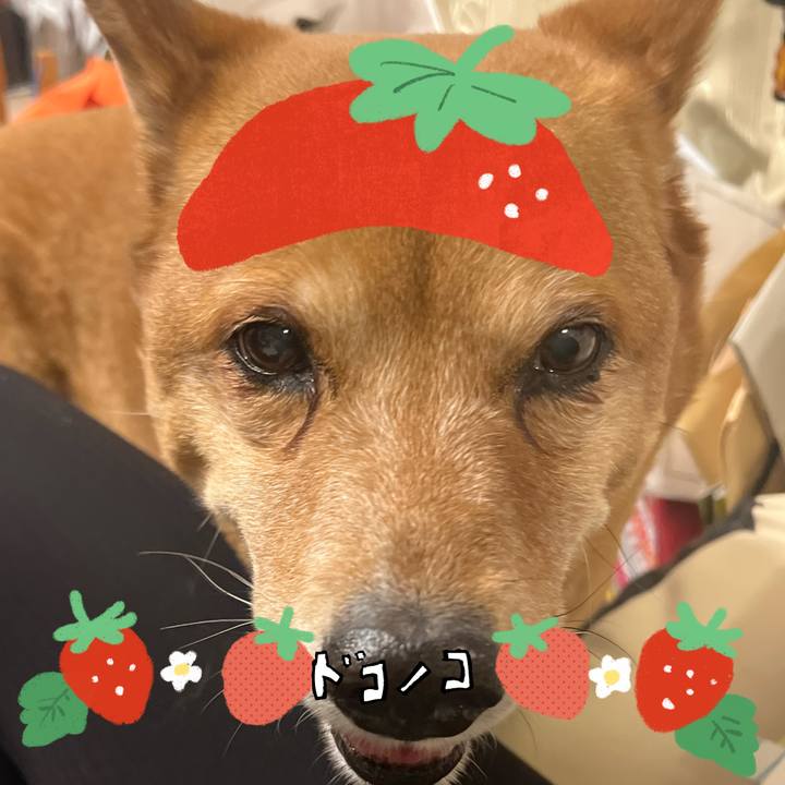 8f363a8e b416 4bfd b94d 57f65722821f 1775525276132