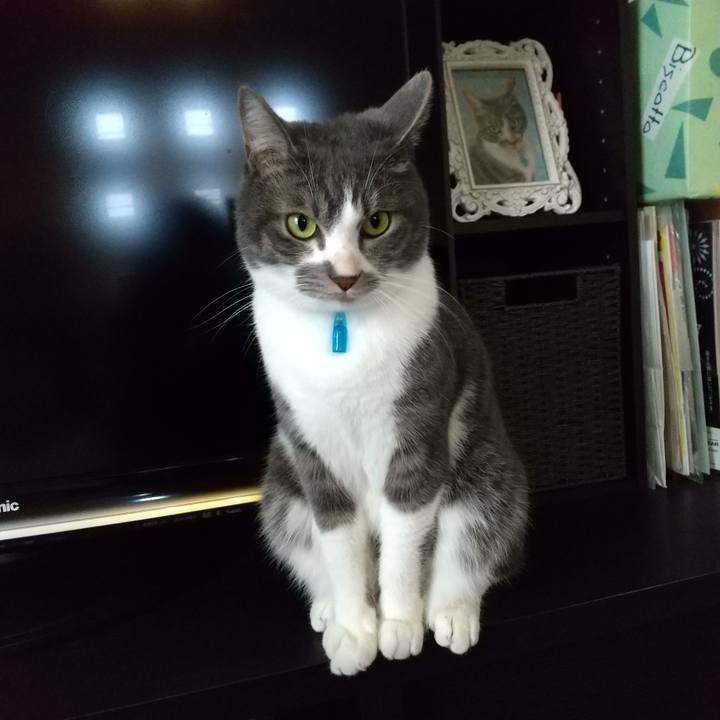 8f364137 3046 42e7 adbb d10b608a1089 1607841398479