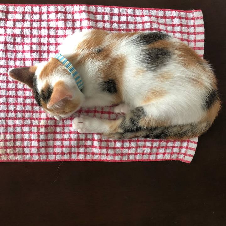 8f3647bf 91ed 49e8 9c24 e3117f6ae835 1562990860546