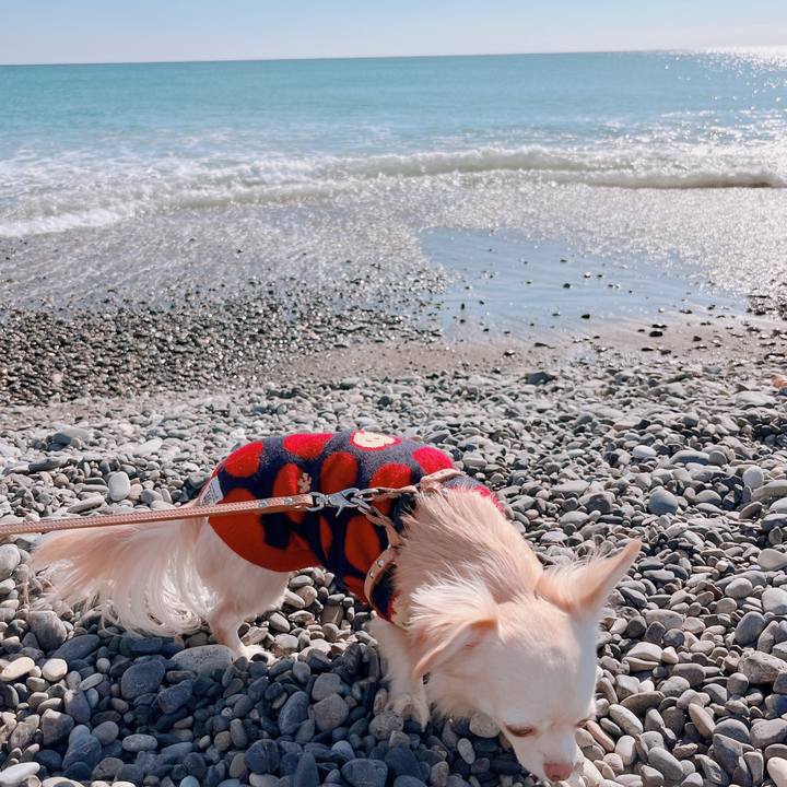 8f3655ae 83fd 4907 94a4 6b83fe1a5cda 1673073942637