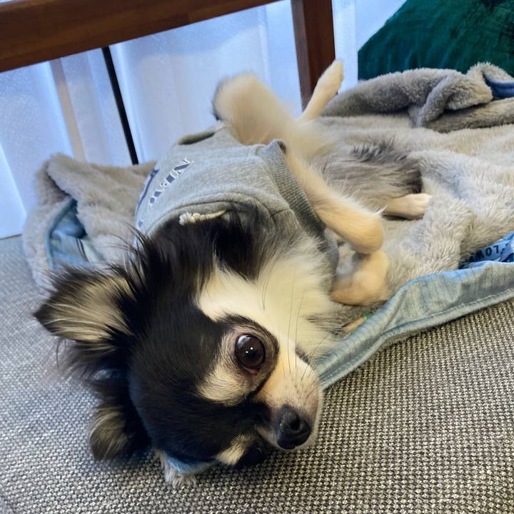 8f3671d3 0955 4d3f 9186 6ff992860c20 1640503402477