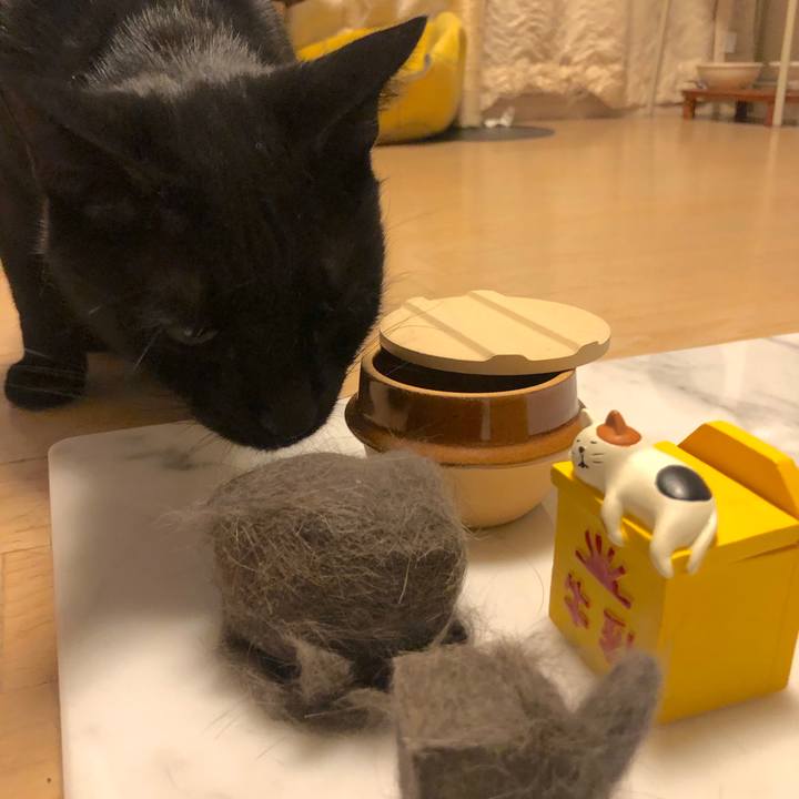 8f369802 d6cd 44da b723 bfdc07a832ca 1532006089703