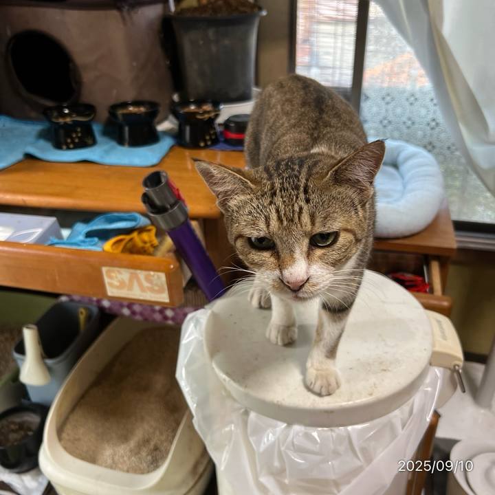 8f36aa5f cc2b 4c6c a5c7 a34aed0f744a 1757458412751