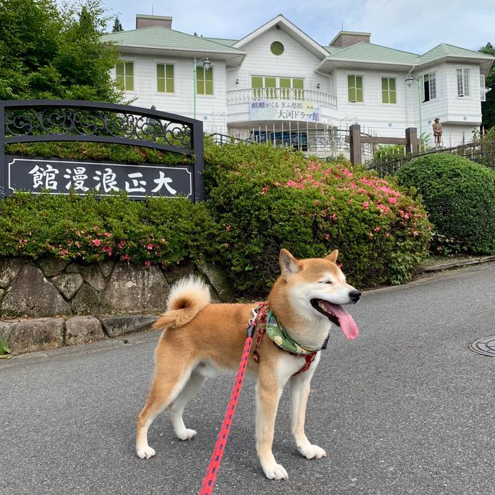 8f36e53a d1f4 42a2 8b11 37671e1611f8 1592640515906