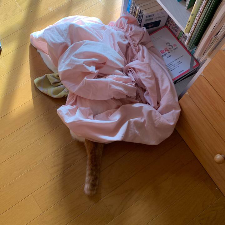 8f36ec8c 9821 4b4d 88cc ccf6c9503d97 1569714641066