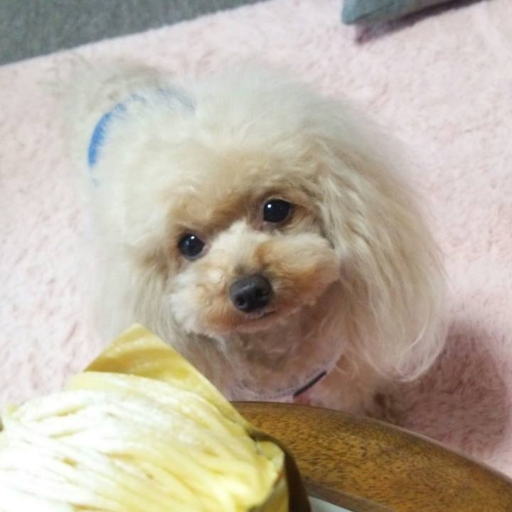 8f370ecf 9b98 48cd beae e523171afe9c 1560859254080